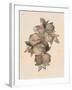 Pomegranate Fruit, 1867-null-Framed Giclee Print