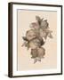 Pomegranate Fruit, 1867-null-Framed Giclee Print