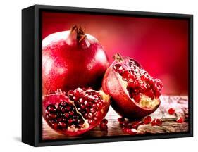 Pomegranate Fruit-Subbotina Anna-Framed Stretched Canvas