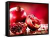 Pomegranate Fruit-Subbotina Anna-Framed Stretched Canvas