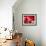 Pomegranate Fruit-Subbotina Anna-Framed Photographic Print displayed on a wall