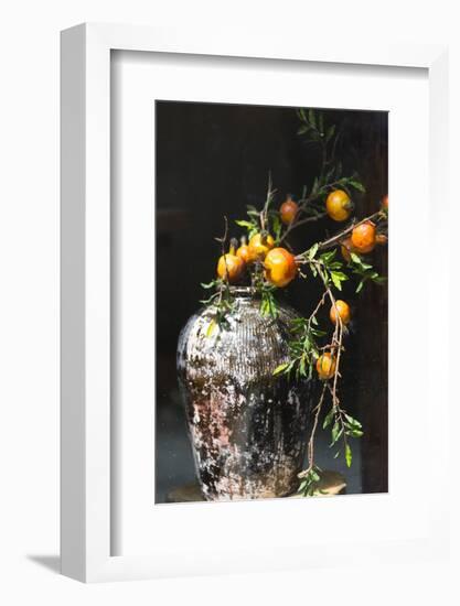 Pomegranate grown from a wine jar, Tangqi Ancient Town, Hangzhou, Zhejiang Province, China-Keren Su-Framed Photographic Print