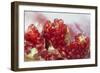 Pomegranate on the Street Raw or Made into Juice, Bangkok, Thailand-Cindy Miller Hopkins-Framed Photographic Print