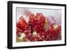 Pomegranate on the Street Raw or Made into Juice, Bangkok, Thailand-Cindy Miller Hopkins-Framed Photographic Print