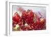 Pomegranate on the Street Raw or Made into Juice, Bangkok, Thailand-Cindy Miller Hopkins-Framed Photographic Print