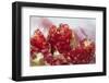 Pomegranate on the Street Raw or Made into Juice, Bangkok, Thailand-Cindy Miller Hopkins-Framed Photographic Print