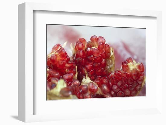 Pomegranate on the Street Raw or Made into Juice, Bangkok, Thailand-Cindy Miller Hopkins-Framed Photographic Print