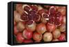 Pomegranate: Opened to Show Seeds Within Sweet Jelly-null-Framed Stretched Canvas