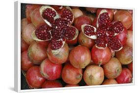 Pomegranate: Opened to Show Seeds Within Sweet Jelly-null-Framed Photographic Print