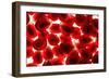 Pomegranate Seeds, Fruit-null-Framed Photographic Print