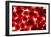 Pomegranate Seeds, Fruit-null-Framed Photographic Print