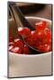 Pomegranate Seeds in Small Bowl with Spoon-Foodcollection-Mounted Photographic Print