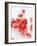 Pomegranate Seeds-Alain Caste-Framed Photographic Print