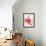 Pomegranate Seeds-Alain Caste-Framed Photographic Print displayed on a wall