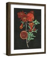 Pomegranate Study I-Melissa Wang-Framed Art Print