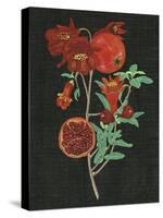 Pomegranate Study I-Melissa Wang-Stretched Canvas