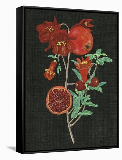 Pomegranate Study I-Melissa Wang-Framed Stretched Canvas