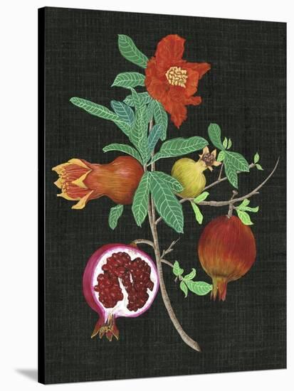 Pomegranate Study II-Melissa Wang-Stretched Canvas