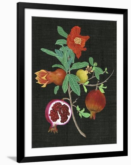 Pomegranate Study II-Melissa Wang-Framed Art Print