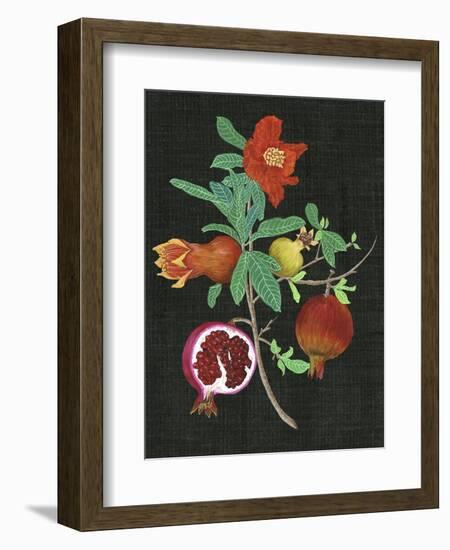 Pomegranate Study II-Melissa Wang-Framed Art Print