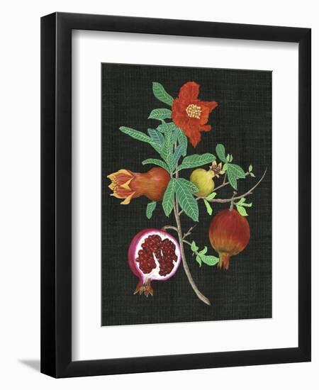 Pomegranate Study II-Melissa Wang-Framed Art Print