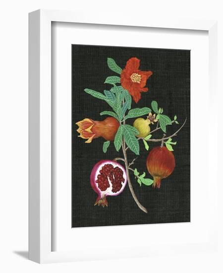 Pomegranate Study II-Melissa Wang-Framed Art Print