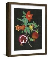 Pomegranate Study II-Melissa Wang-Framed Art Print