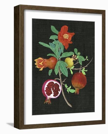 Pomegranate Study II-Melissa Wang-Framed Art Print