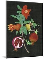 Pomegranate Study II-Melissa Wang-Mounted Art Print