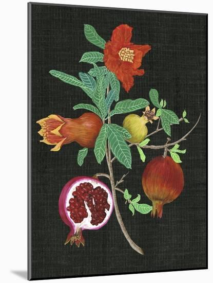 Pomegranate Study II-Melissa Wang-Mounted Art Print