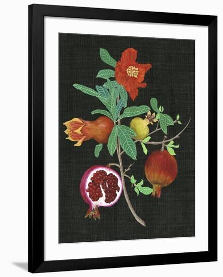 Pomegranate Study II-Melissa Wang-Framed Art Print