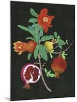 Pomegranate Study II-Melissa Wang-Mounted Art Print