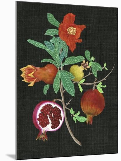 Pomegranate Study II-Melissa Wang-Mounted Art Print