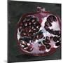 Pomegranate Study on Black I-Jennifer Parker-Mounted Art Print