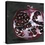 Pomegranate Study on Black I-Jennifer Parker-Stretched Canvas