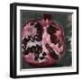 Pomegranate Study on Black II-Jennifer Parker-Framed Art Print