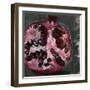 Pomegranate Study on Black II-Jennifer Parker-Framed Art Print