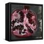 Pomegranate Study on Black II-Jennifer Parker-Framed Stretched Canvas