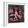 Pomegranate Study on Black II-Jennifer Parker-Framed Art Print