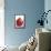 Pomegranate-null-Framed Stretched Canvas displayed on a wall