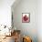 Pomegranate-null-Framed Stretched Canvas displayed on a wall