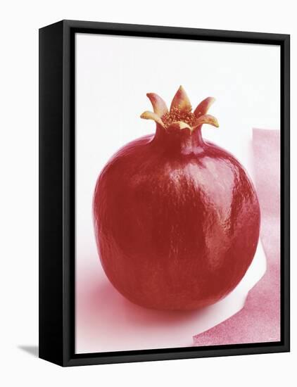 Pomegranate-null-Framed Stretched Canvas
