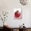 Pomegranate-null-Stretched Canvas displayed on a wall