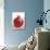 Pomegranate-null-Photographic Print displayed on a wall