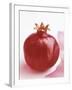 Pomegranate-null-Framed Photographic Print