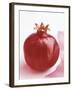 Pomegranate-null-Framed Photographic Print