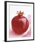 Pomegranate-null-Framed Photographic Print