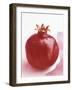 Pomegranate-null-Framed Photographic Print