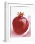 Pomegranate-null-Framed Photographic Print