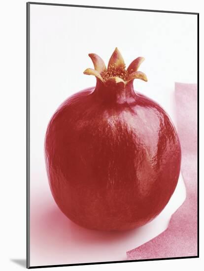 Pomegranate-null-Mounted Photographic Print